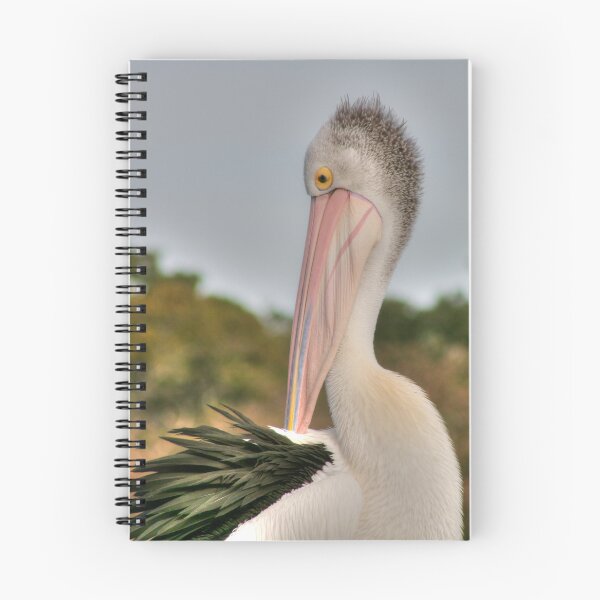 Item preview, All Right, Mr. DeMille, I'm Ready For My Close-up designed and sold by Michael Matthews.