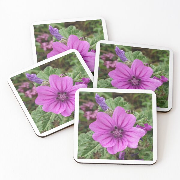 Item preview, Cheeses Flower designed and sold by AshleighJane95.