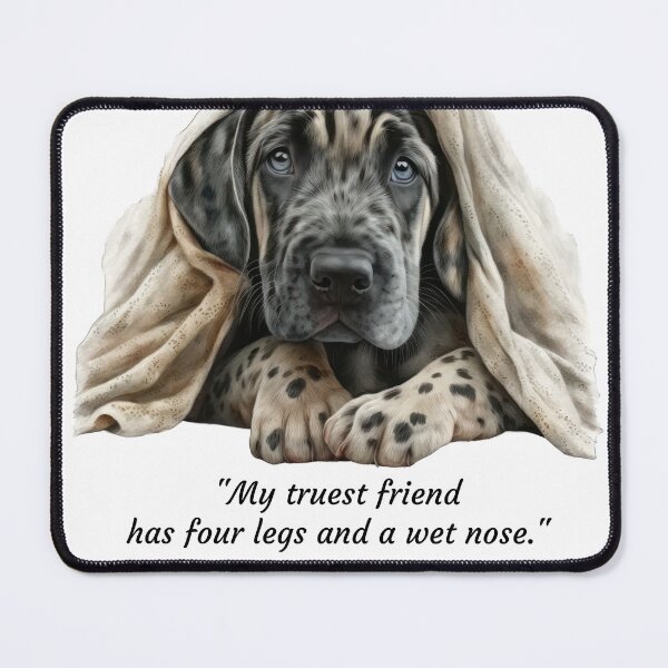 Item preview, Wet Noses  designed and sold by Linda Gonzalez.