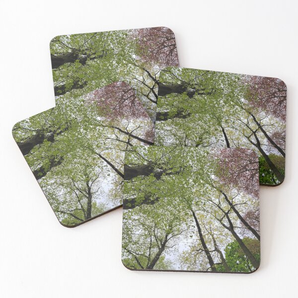 Item preview, looking up to the sky  designed and sold by AshleighJane95.
