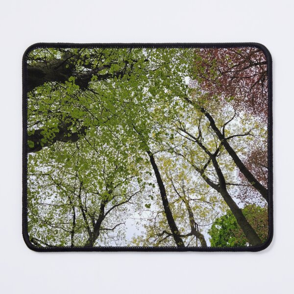 Item preview, looking up to the sky  designed and sold by AshleighJane95.