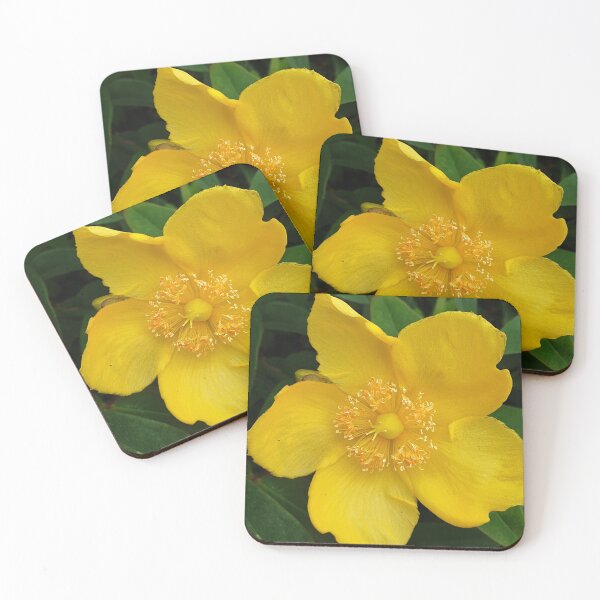 Item preview, Yellow Jessamine Flower designed and sold by AshleighJane95.