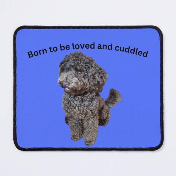 Item preview, Born to be loved and spoilt black poodle  designed and sold by Debsgiftware Ward.