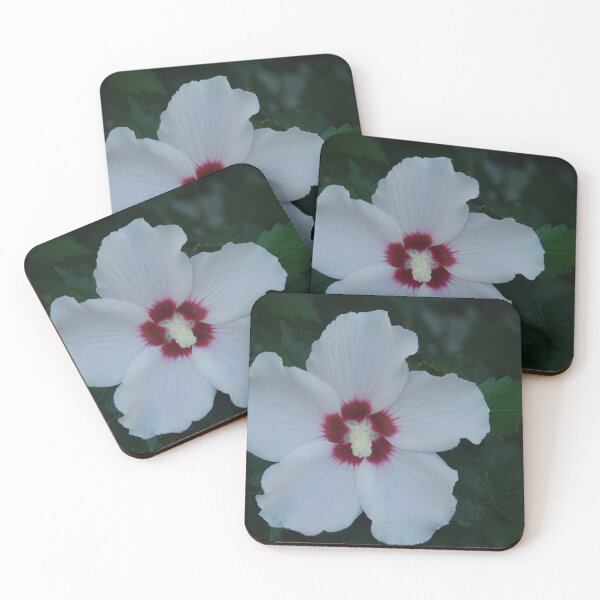 Item preview, Rose of Sharon designed and sold by scottyp143.