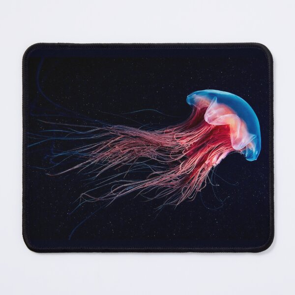 Item preview, Jelly Fish in space designed and sold by stiffanyp.
