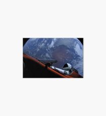 SpaceX's Starman Art Board
