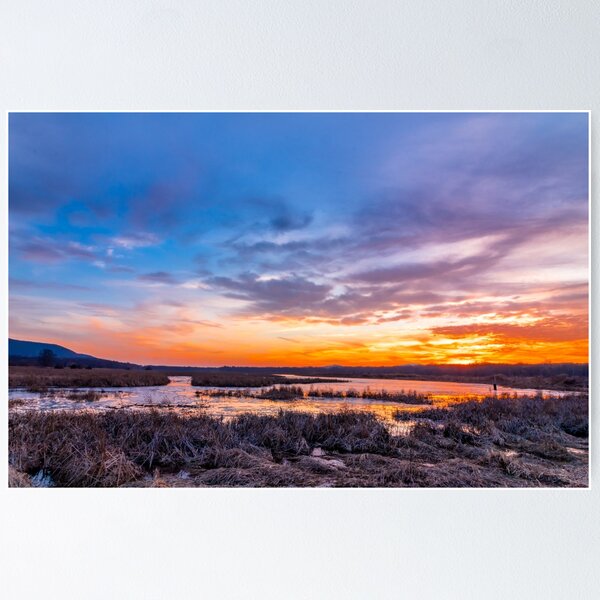 Item preview, Sunset over the swamp in late winter designed and sold by Rabbitti.