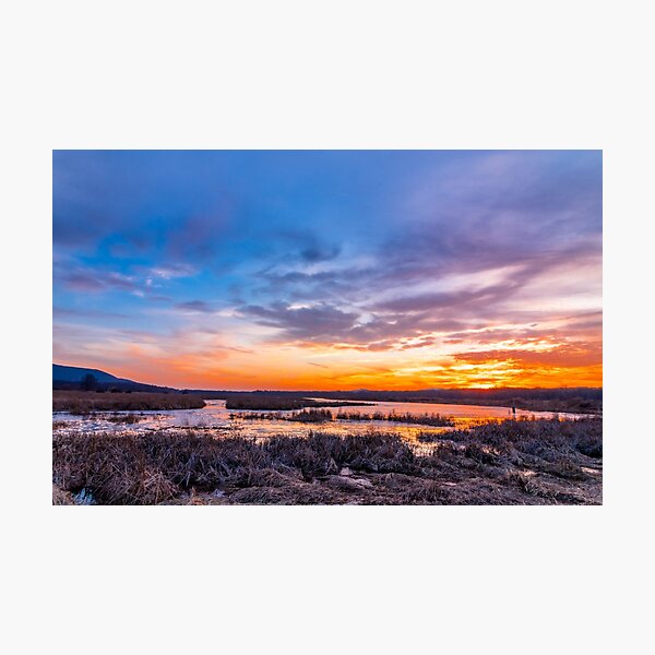 Item preview, Sunset over the swamp in late winter designed and sold by Rabbitti.