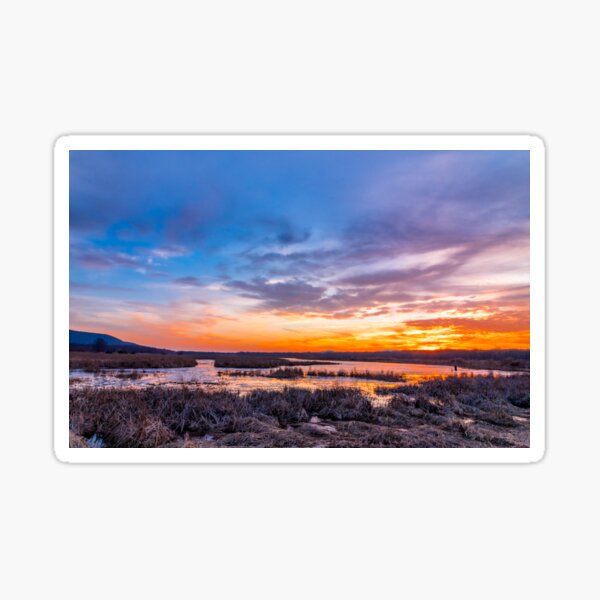 Item preview, Sunset over the swamp in late winter designed and sold by Rabbitti.