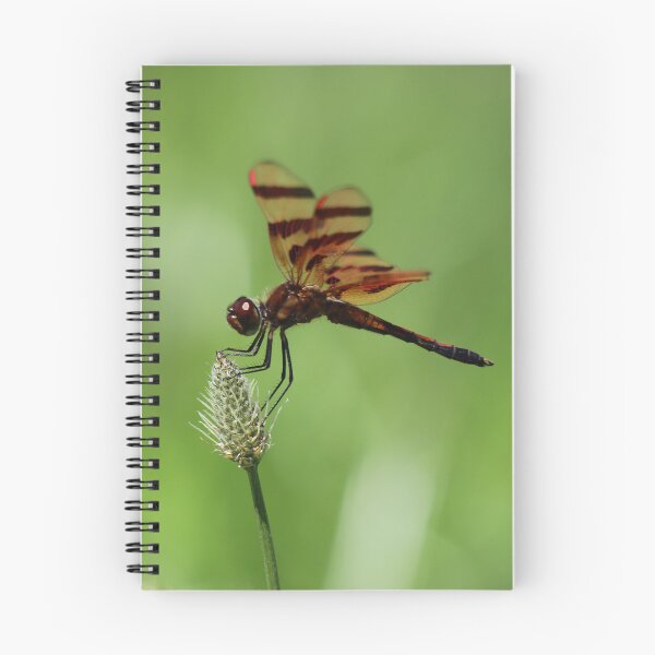 Item preview, Delightful Dragonfly designed and sold by LisaNaturePhoto.
