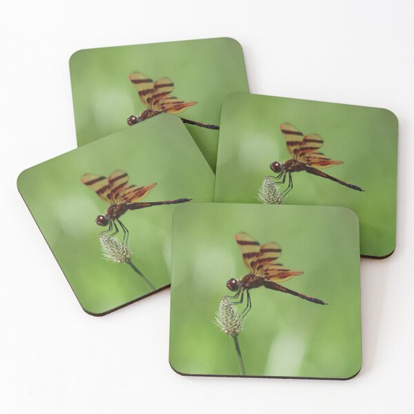 Item preview, Delightful Dragonfly designed and sold by LisaNaturePhoto.