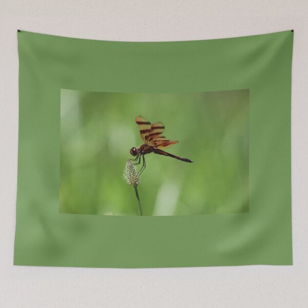 Item preview, Delightful Dragonfly designed and sold by LisaNaturePhoto.