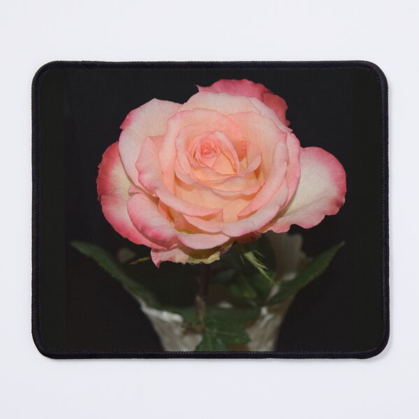 Item preview, Pink Rose in a Lenox Vase designed and sold by Louise-Mae.