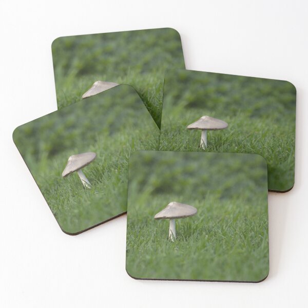 Item preview, A single mushroom in the grass designed and sold by imaginethis.