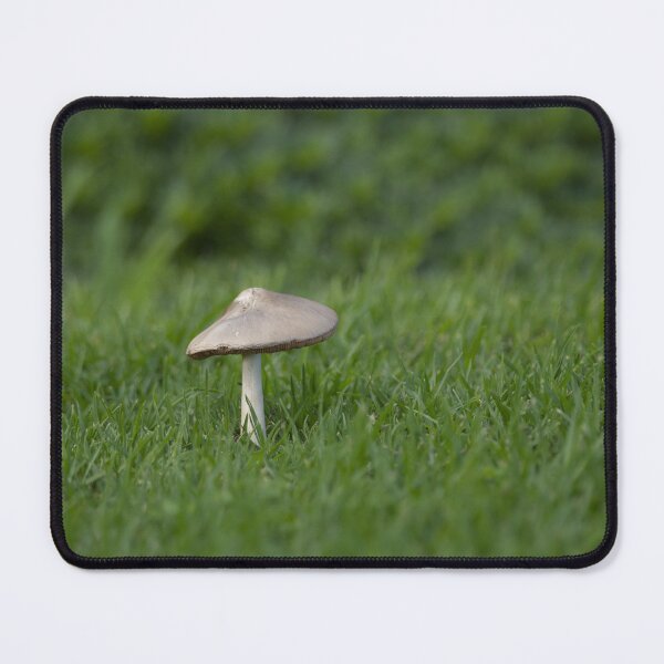 Item preview, A single mushroom in the grass designed and sold by imaginethis.
