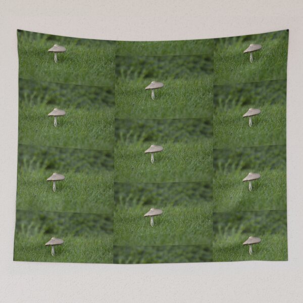 Item preview, A single mushroom in the grass designed and sold by imaginethis.