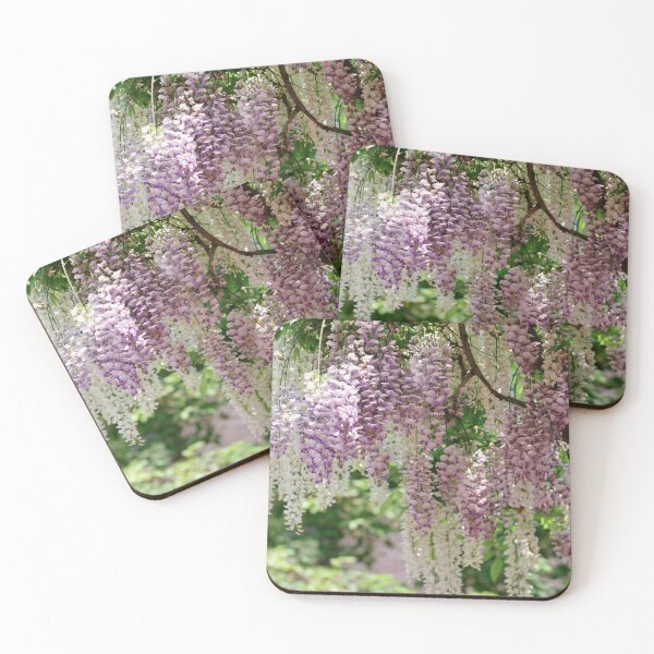 Item preview, Wisteria Serenade: Breathtaking Danglings in Purple and White highres photo designed and sold by EmeraldeaArt.