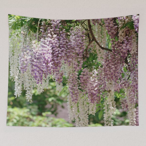 Item preview, Wisteria Serenade: Breathtaking Danglings in Purple and White highres photo designed and sold by EmeraldeaArt.