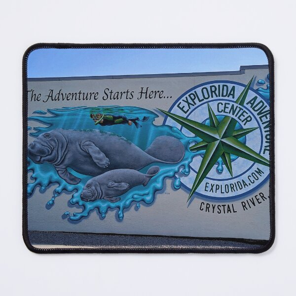 Item preview, Crystal River, Florida, Mural designed and sold by irishmurr.
