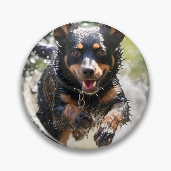 Item preview, Action Shot of a Lancashire Heeler Jumping Through Water designed and sold by dcrc.