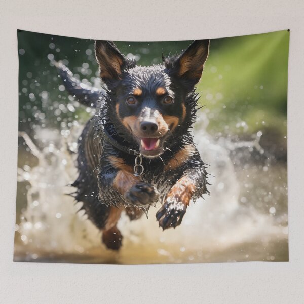 Item preview, Action Shot of a Lancashire Heeler Jumping Through Water designed and sold by dcrc.