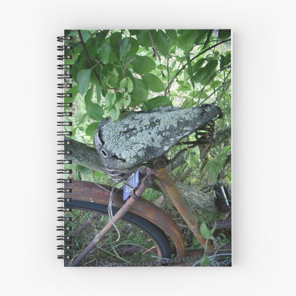 Item preview, Season Cycle designed and sold by lghtwrkr.