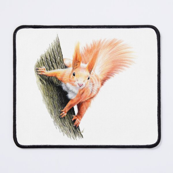 Item preview, Red Squirrel Coloured pencil Drawing designed and sold by SandraWarmerdam.