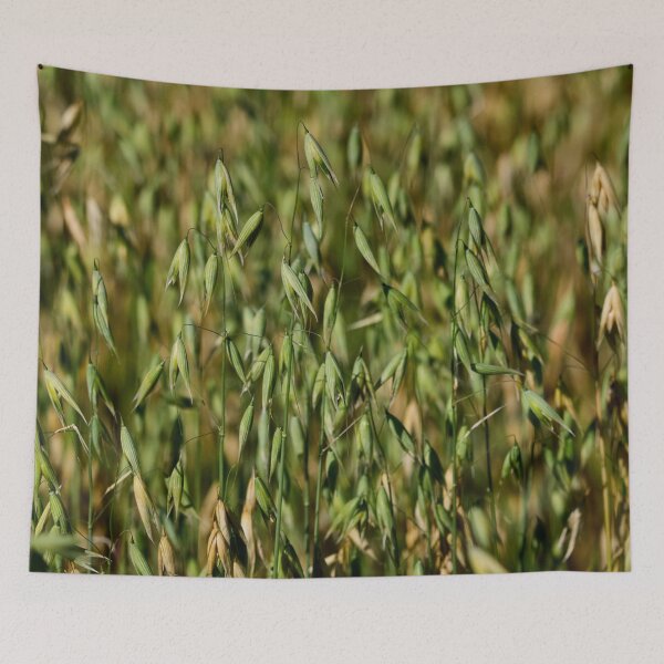 Item preview, Still green. Oat designed and sold by Jouko Lehto Photography.