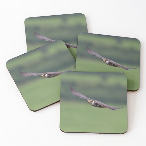 Item preview, Hobby designed and sold by LaurenTucker.