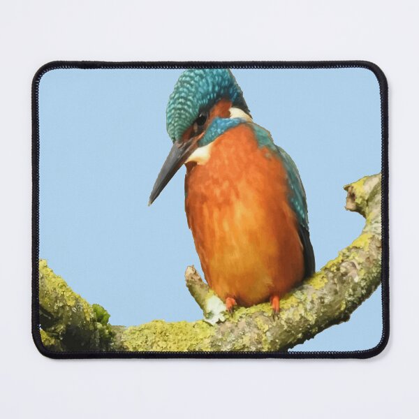 Item preview, Stunning Brightly Colored River Bird Vector Art designed and sold by taiche.