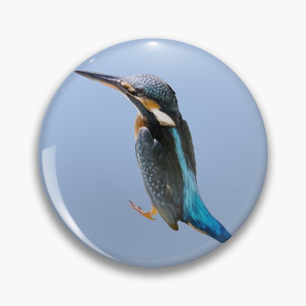 Item preview, A Beautiful Diving Water Bird Vector designed and sold by taiche.