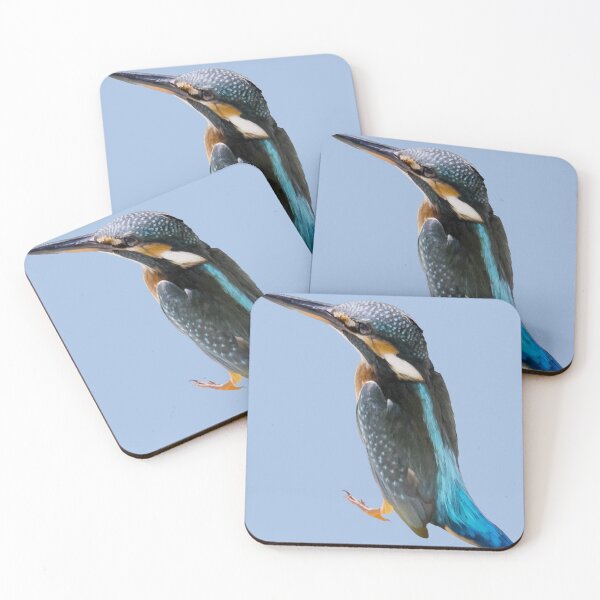 Item preview, A Beautiful Diving Water Bird Vector designed and sold by taiche.