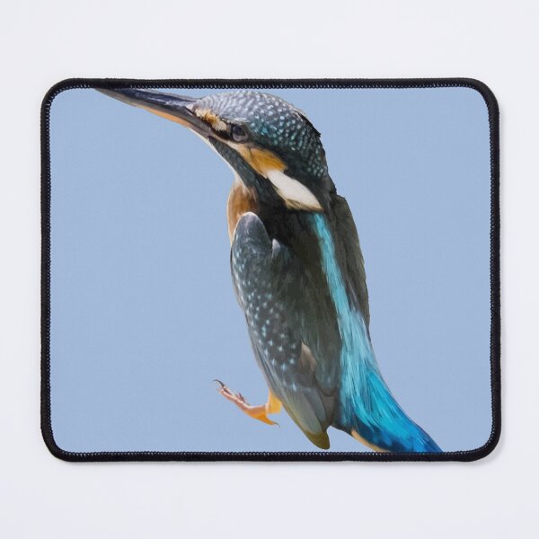 Item preview, A Beautiful Diving Water Bird Vector designed and sold by taiche.
