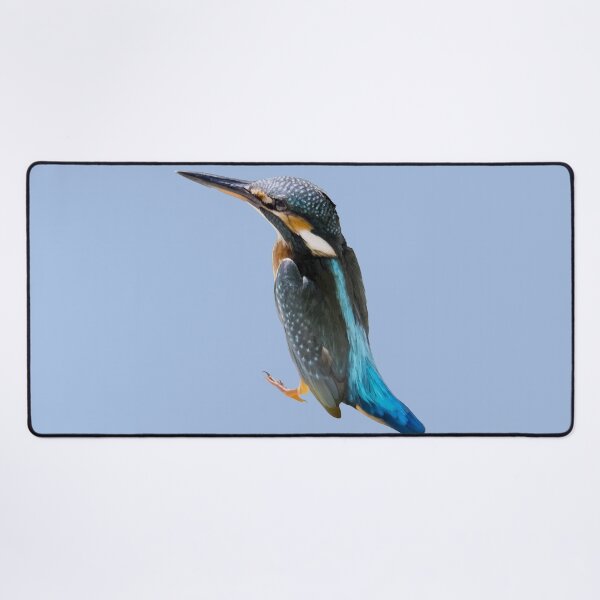 Item preview, A Beautiful Diving Water Bird Vector designed and sold by taiche.