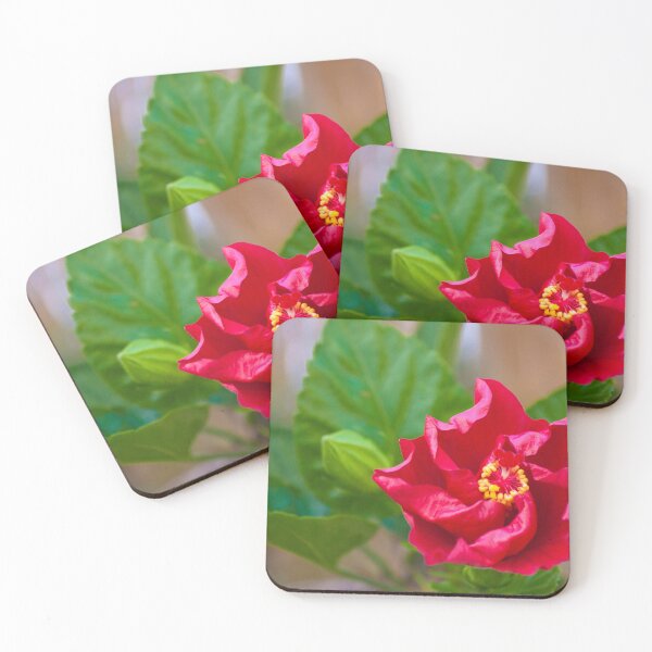 Item preview, hibiscus designed and sold by Tereza Pilar  Art.