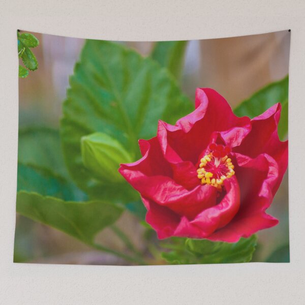 Item preview, hibisco designed and sold by Tereza Pilar Art.
