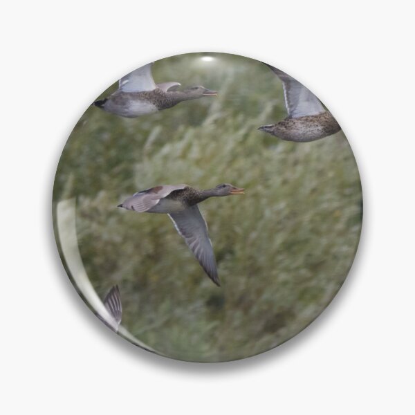 Item preview, Gadwall designed and sold by LaurenTucker.