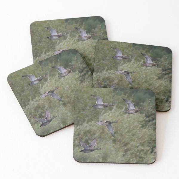Item preview, Gadwall designed and sold by LaurenTucker.