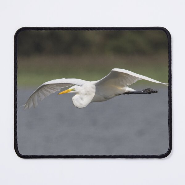 Item preview, Great White Egret designed and sold by LaurenTucker.