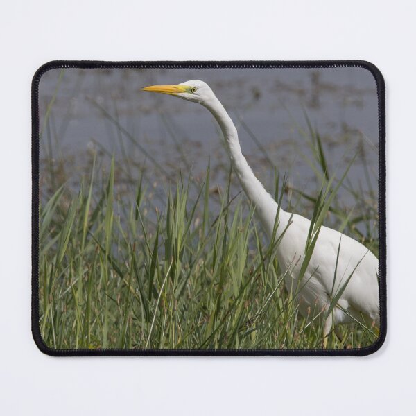 Item preview, Great White Egret designed and sold by LaurenTucker.