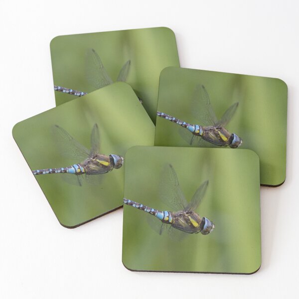 Item preview, Migrant Hawker designed and sold by LaurenTucker.