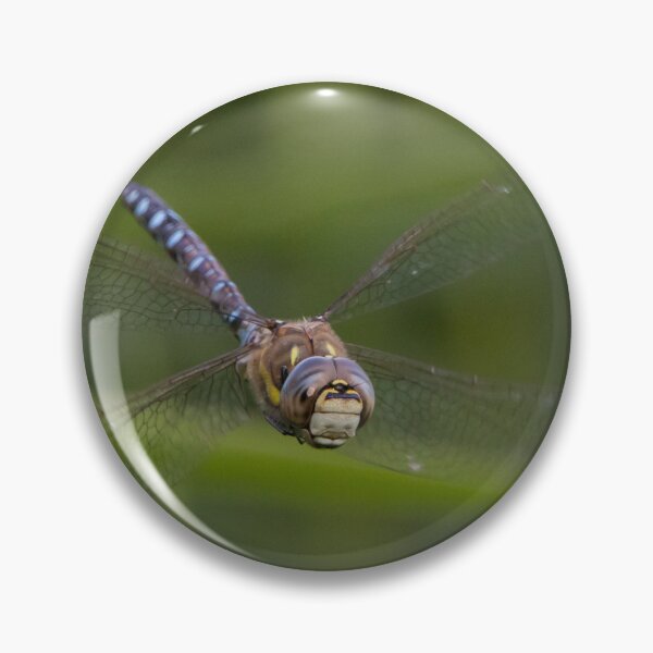 Item preview, Migrant Hawker designed and sold by LaurenTucker.