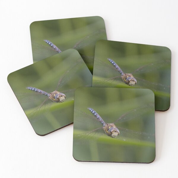 Item preview, Migrant Hawker designed and sold by LaurenTucker.