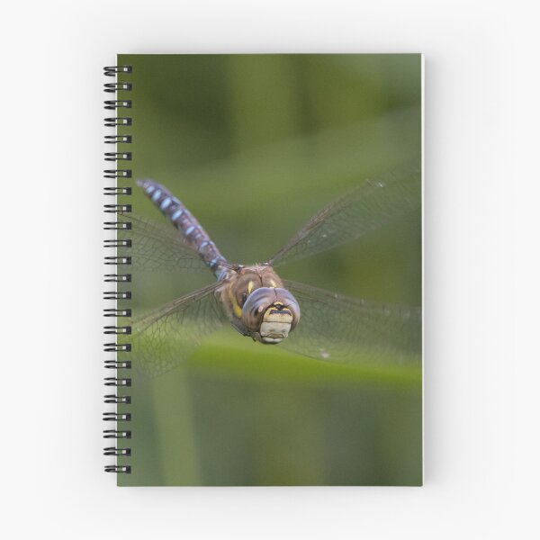 Item preview, Migrant Hawker designed and sold by LaurenTucker.