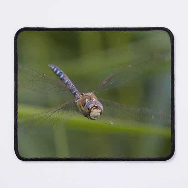 Item preview, Migrant Hawker designed and sold by LaurenTucker.