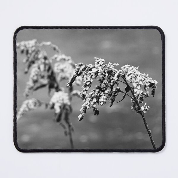 Item preview, freezing designed and sold by annoton.