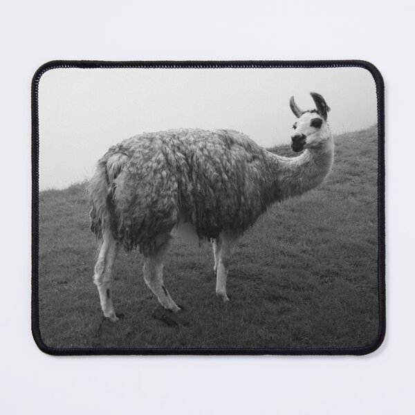 Item preview, Misty Artsy LLama designed and sold by WEFEELART.