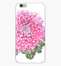 Pink Chrysanthemum iPhone Case