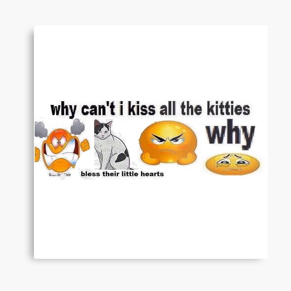 Hey Reddit besties I made cat emoji edits for y'all :3 Which one is your  favorite? (Skeleton, Swearing, Barfing, Pleading, Depressed, Puppy Eyes,  Blushing, Crying, Kissing, Eye Rolling) : r/photoshop