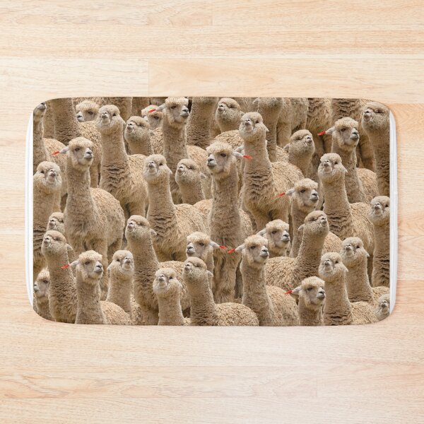 Item preview, Stoned Alpacas designed and sold by WEFEELART.